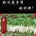 富溪食品酸辣萝卜条下饭菜320g*2