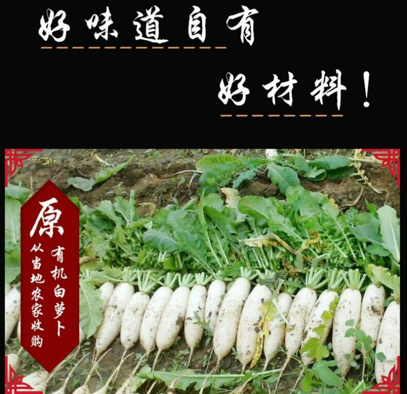 富溪食品酸辣萝卜条下饭菜320g*2