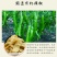 湖南土特产白辣椒干卜辣椒600g老坛扑辣椒有盐白辣椒