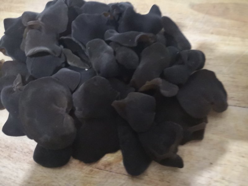 黑龙江森工木耳
