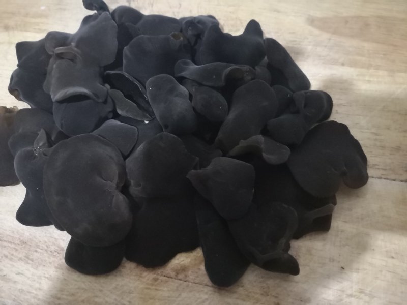 黑龙江森工木耳