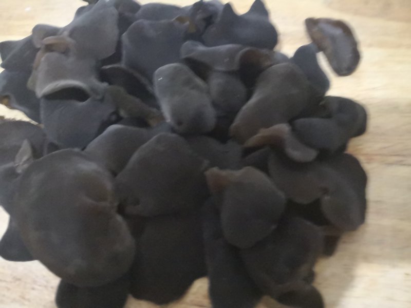 黑龙江森工木耳