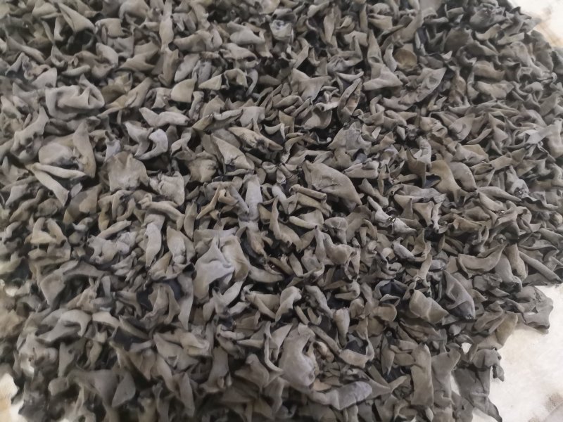 黑龙江森工木耳