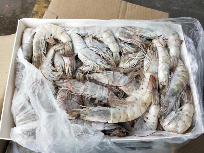 王牌南美白虾盐冻