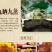 新化九蒸九晒野生黄精传统工艺无硫无添加200g