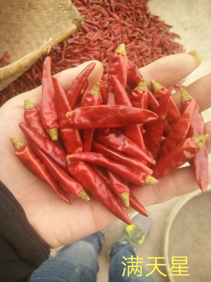 贵州子弹头干辣椒海椒中辣特香红粉中粗辣椒面餐饮工厂批发