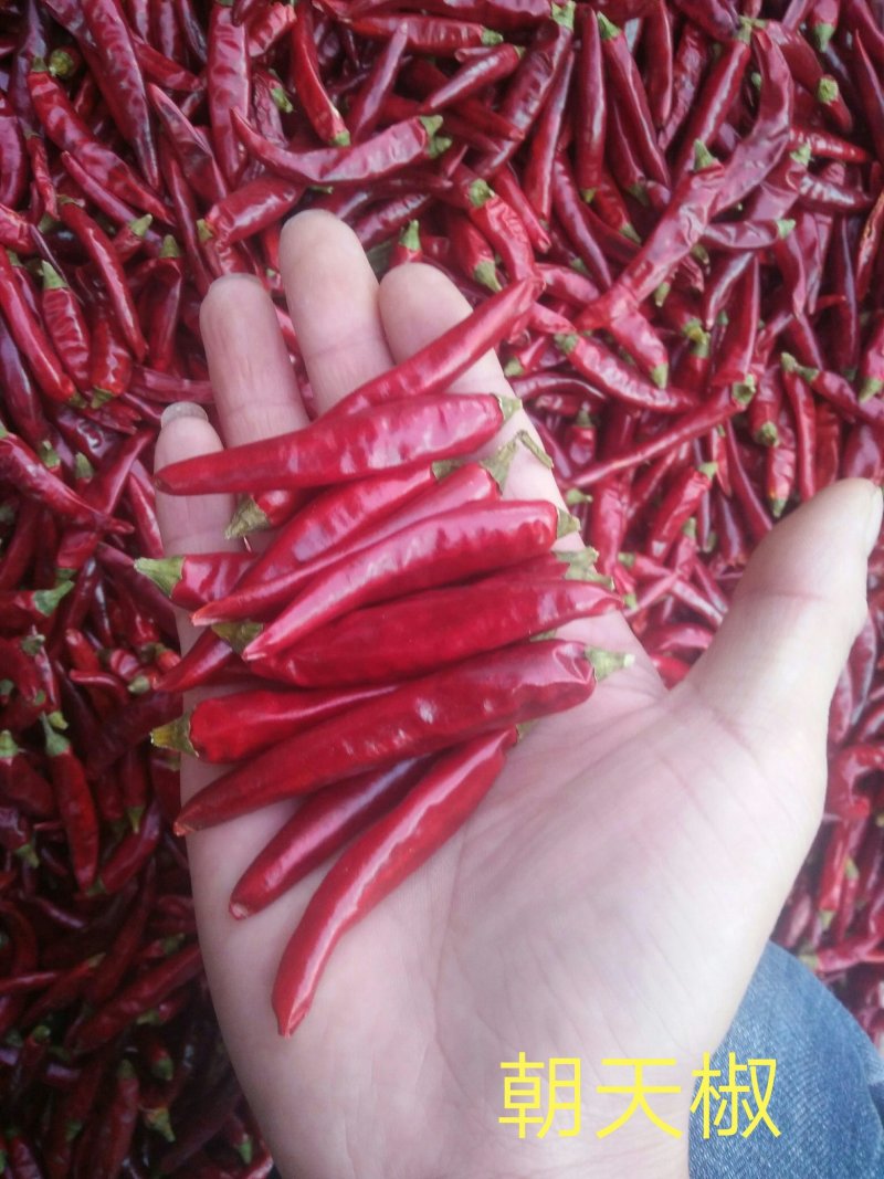 贵州子弹头干辣椒海椒中辣特香红粉中粗辣椒面餐饮工厂批发