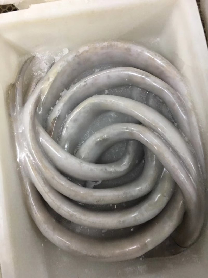 渤海湾刀鱼