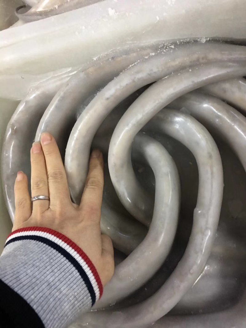 渤海湾刀鱼