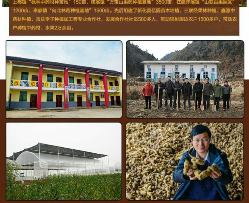 新化九蒸九晒野生黄精传统工艺无硫无添加1000g礼盒装