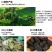新化九蒸九晒野生黄精传统工艺无硫无添加1000g礼盒装