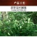 新化九蒸九晒野生黄精传统工艺无硫无添加1000g礼盒装