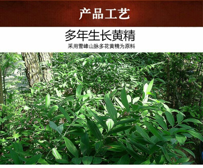 新化九蒸九晒野生黄精传统工艺无硫无添加1000g礼盒装
