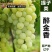 蓝宝石葡萄苗