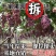 蓝宝石葡萄苗