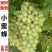 蓝宝石葡萄苗