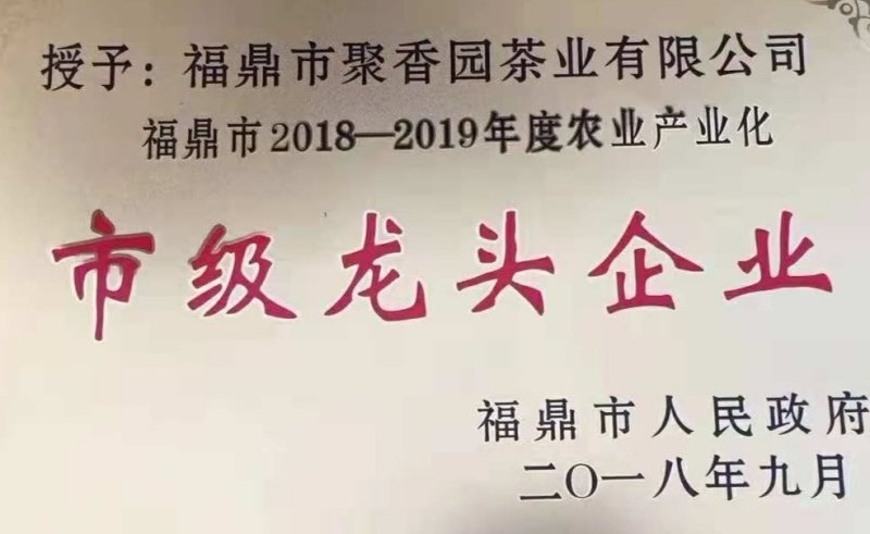 聚香园白茶福鼎白茶高山特级三年陈老白茶