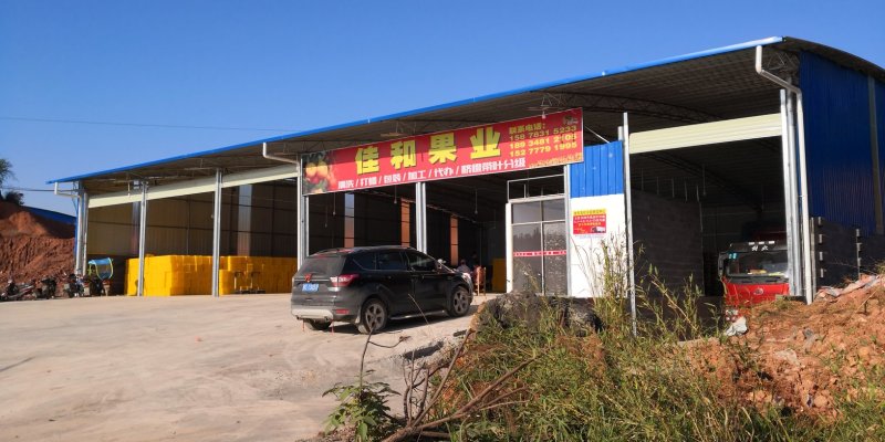 南丰桔，臭皮柑，本地早，世纪红