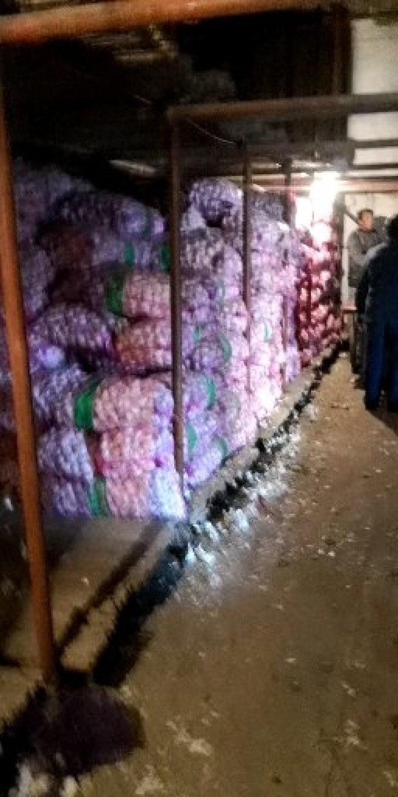 中牟大蒜