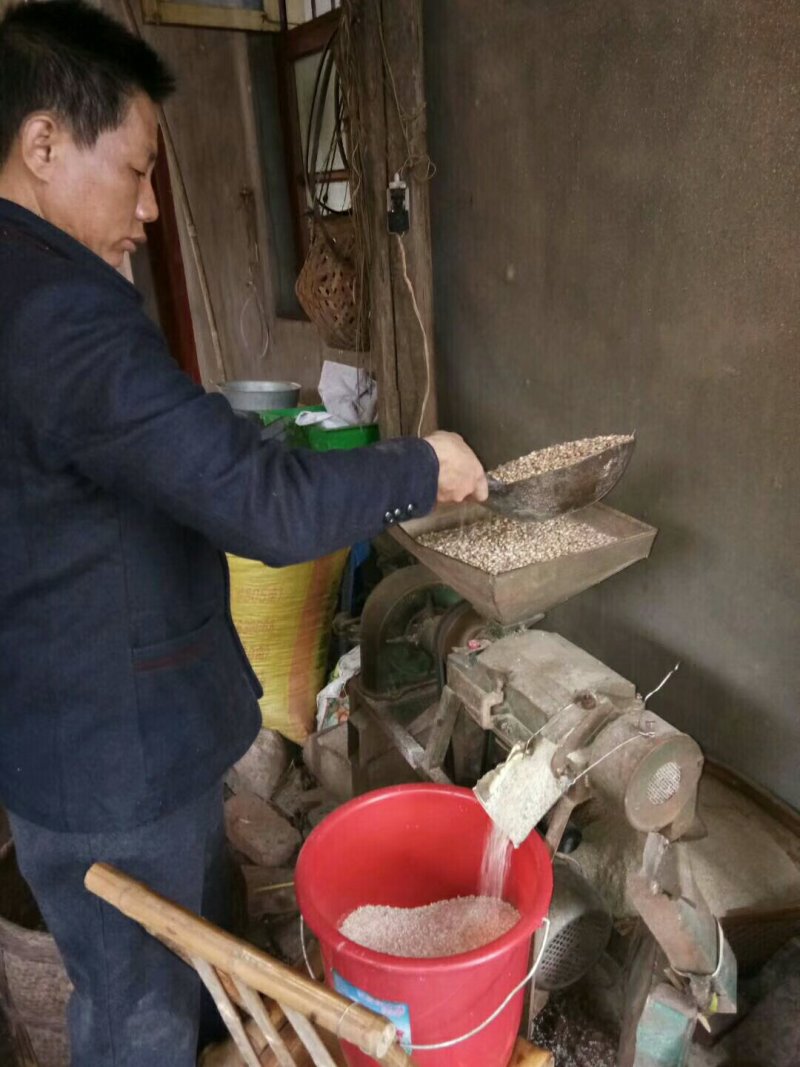 客家糯薏米