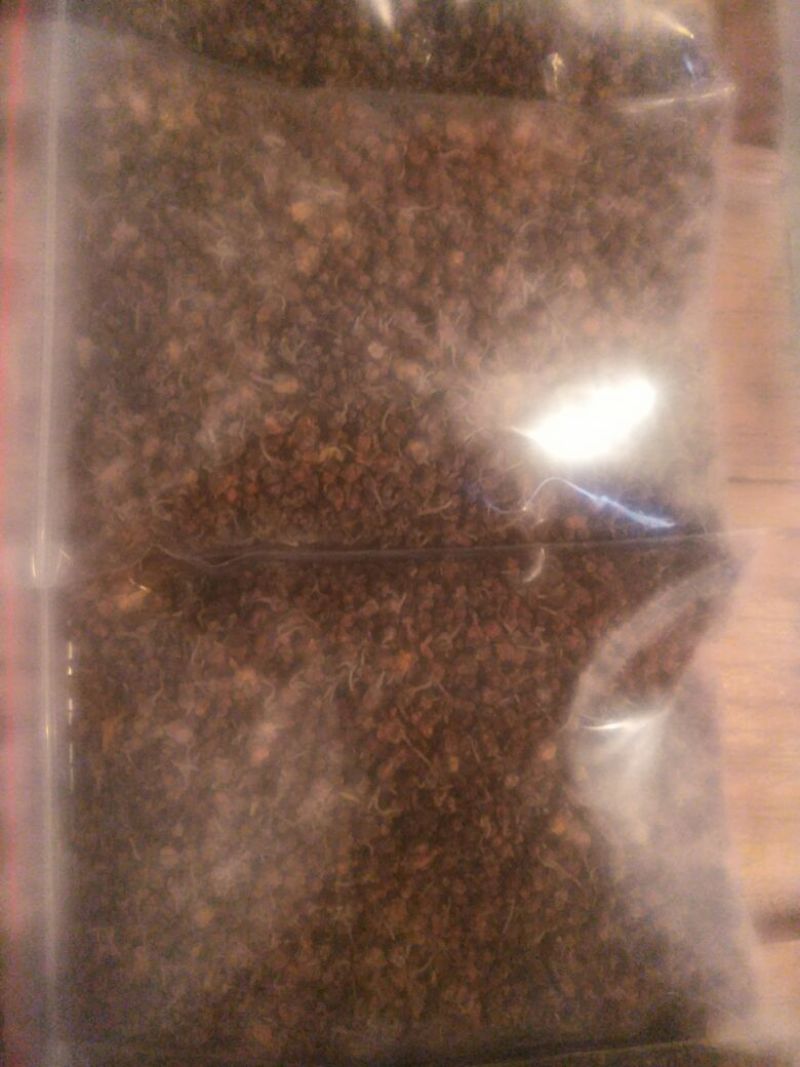 产新精品野菊花茶，选货纯颗粒干品。