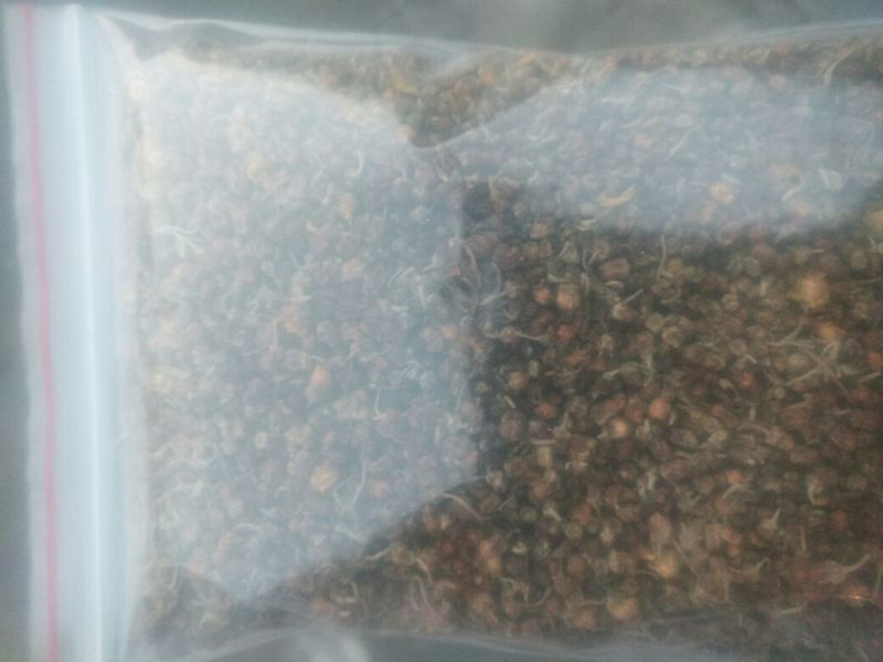 产新精品野菊花茶，选货纯颗粒干品。