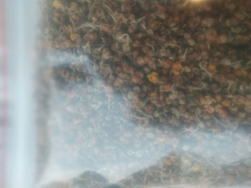 产新精品野菊花茶，选货纯颗粒干品。