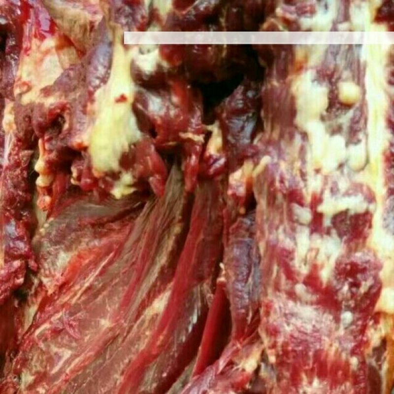 驴肉