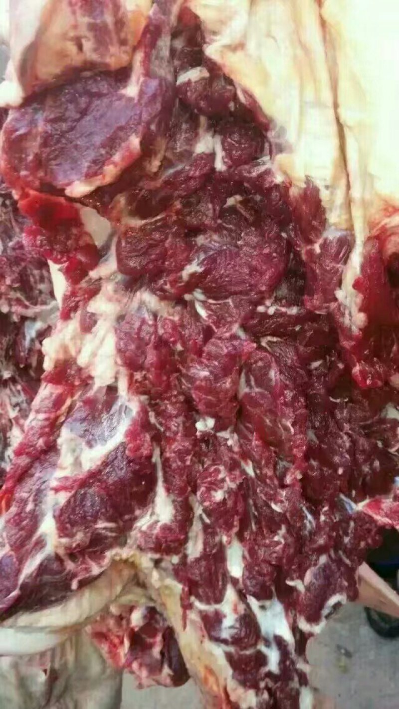 驴肉