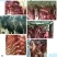 驴肉
