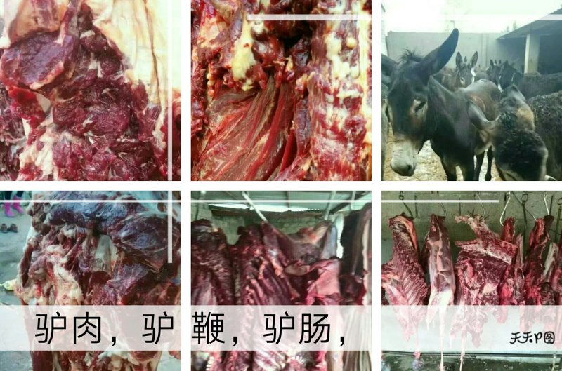 驴肉