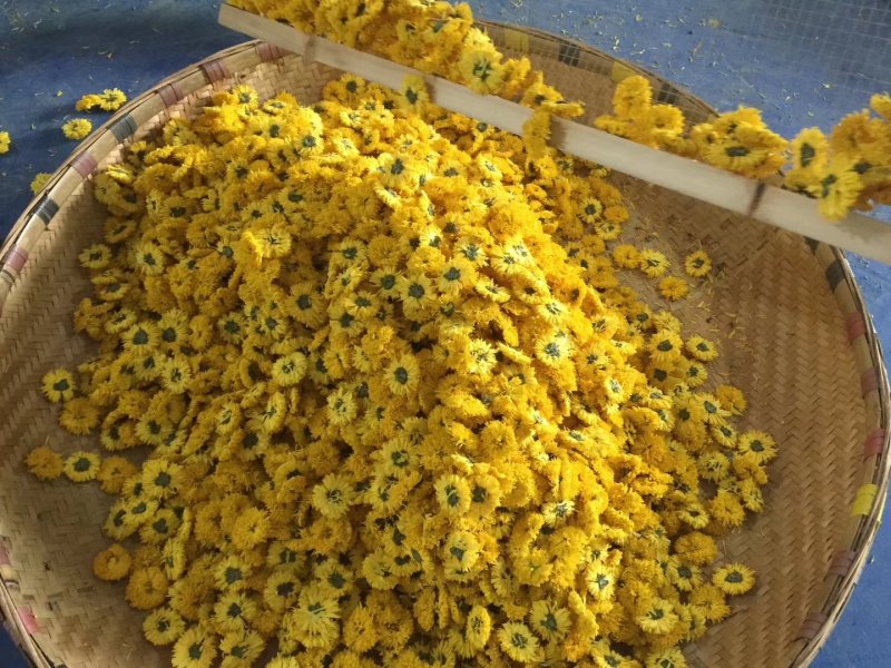 菊花茶