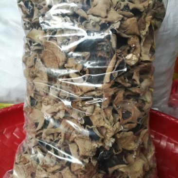 广西大瑶山木耳，广西金秀大瑶山