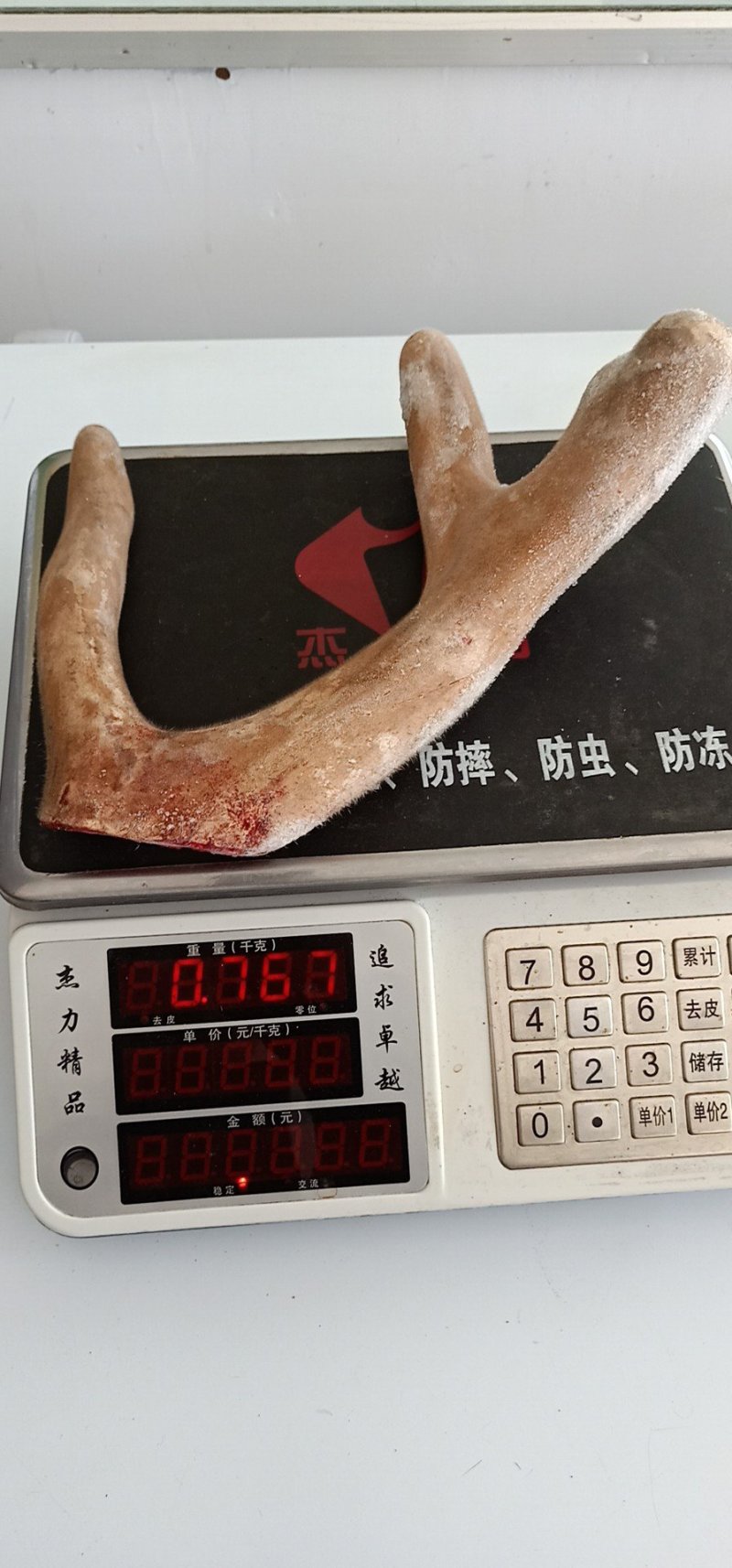 新鲜鹿茸