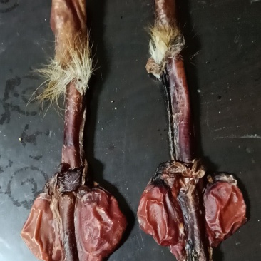 新鲜鹿茸