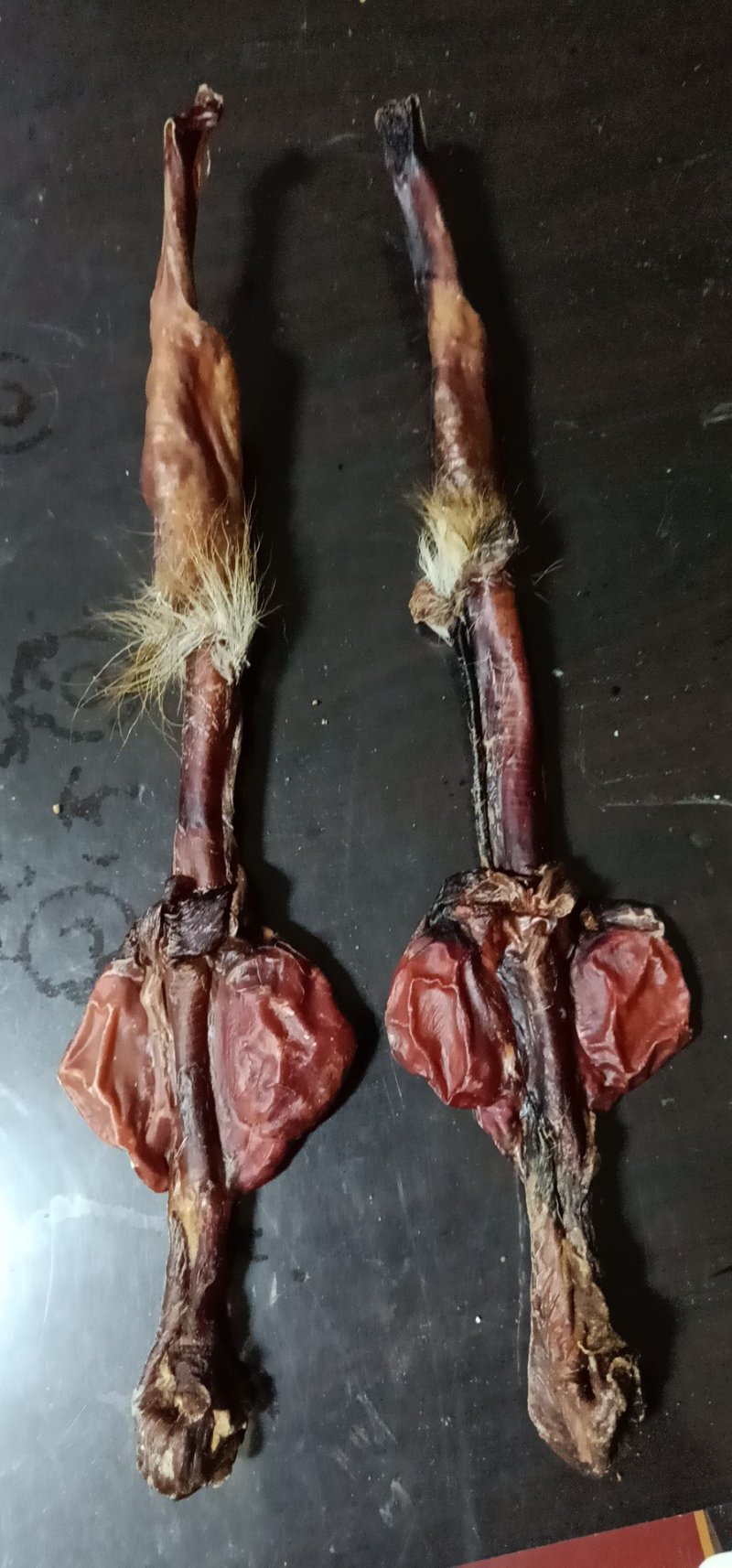 新鲜鹿茸