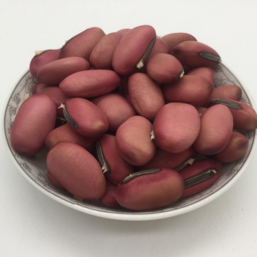 红刀豆，中药材红刀豆
