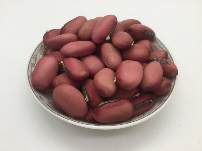 红刀豆，中药材红刀豆