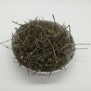 半枝莲，中药材半枝莲
