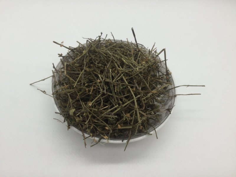 半枝莲，中药材半枝莲