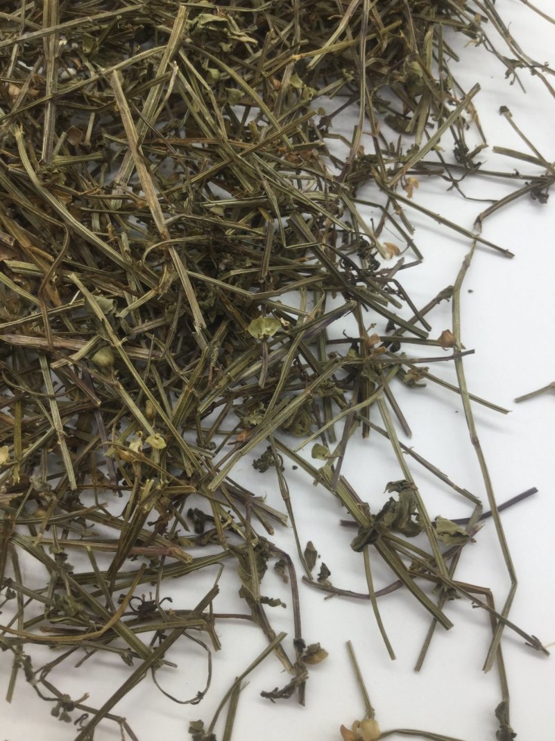 半枝莲，中药材半枝莲