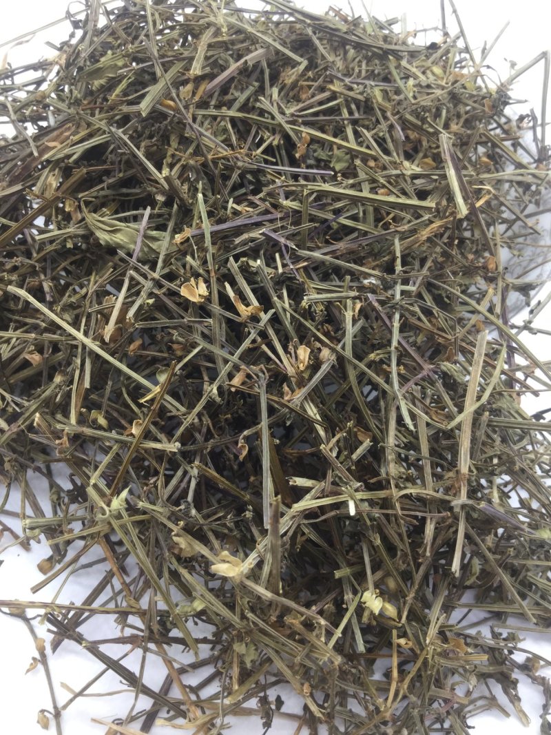 半枝莲，中药材半枝莲