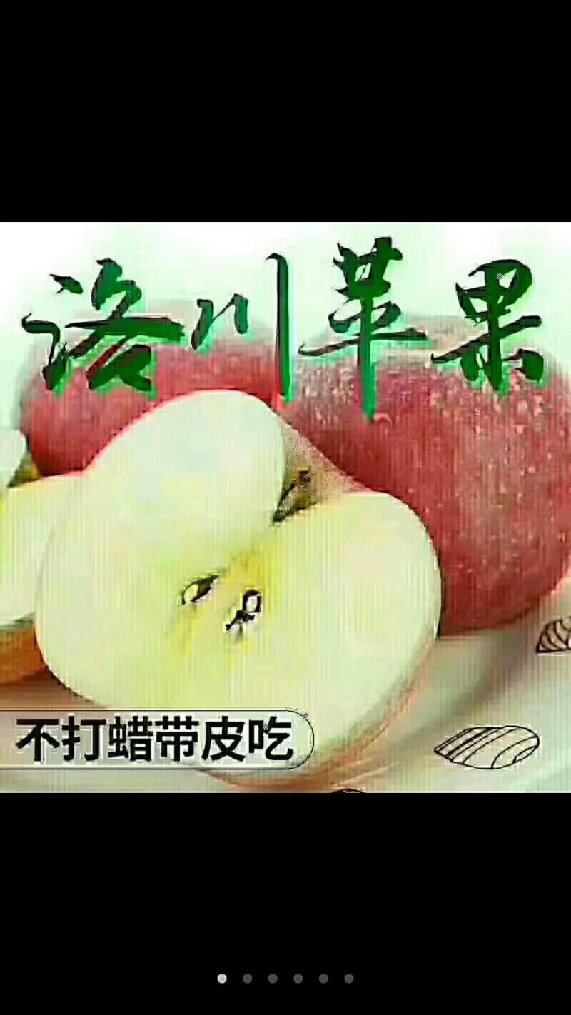 陕西洛川苹果
