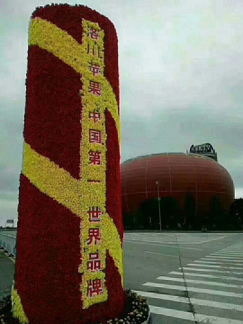陕西洛川苹果