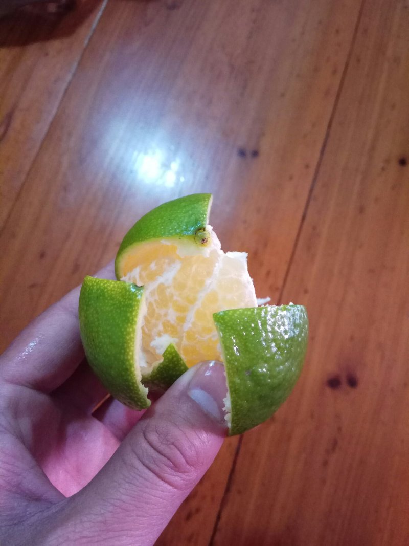 贡柑