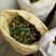 天然山茶油