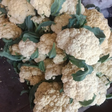 菜花2毛一2毛5分每斤