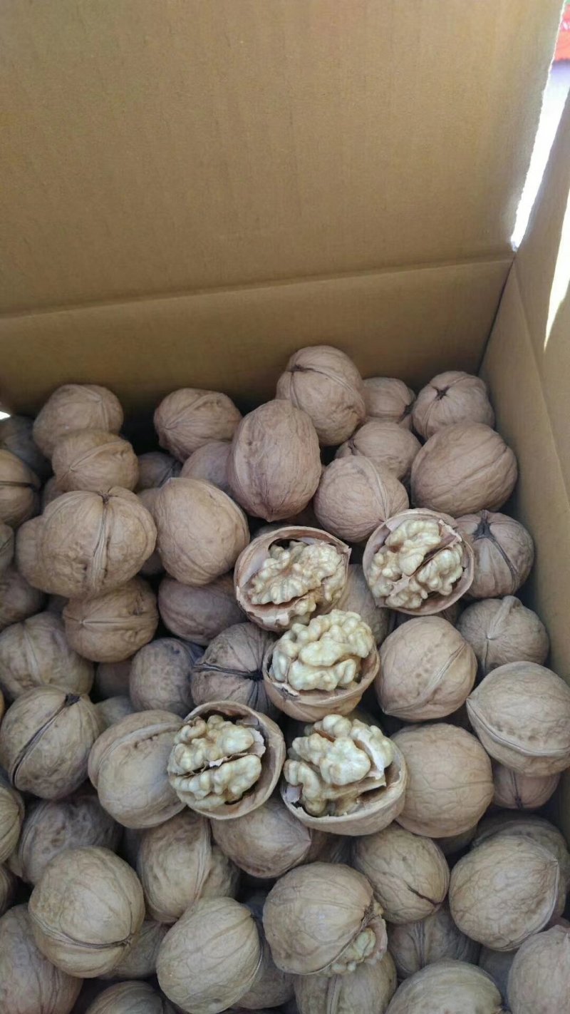 新疆185纸皮核桃是市面上皮最薄的！皮薄如纸，所以称之