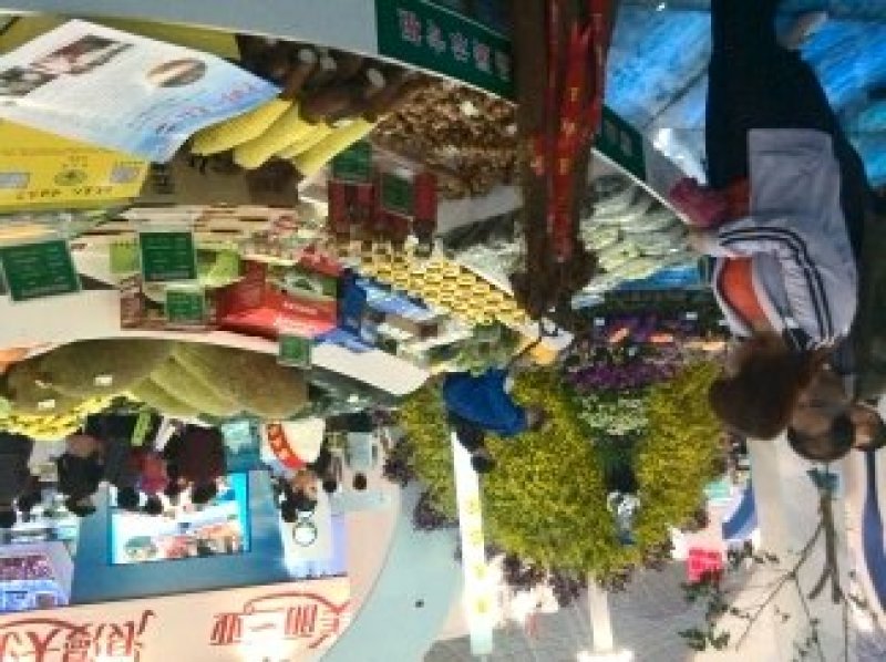 琼台福地火山产品:椰乡红牌沙姜，是健康长寿的食用佳品。
