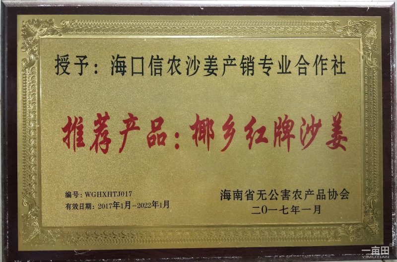 琼台福地火山产品:椰乡红牌沙姜，是健康长寿的食用佳品。